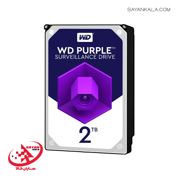 2T-PURPLE-2